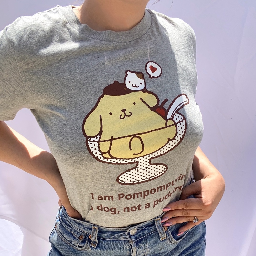 Sanrio Pompompurin top